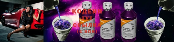 дурь Алзамай