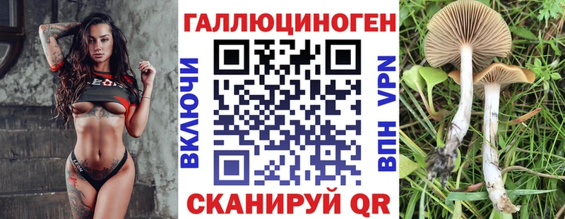 купить наркоту  МЕГА как войти  Псилоцибиновые грибы Magic Shrooms  Волоколамск 